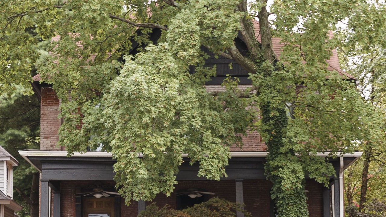 Photo of Outdoor in Bowling Green