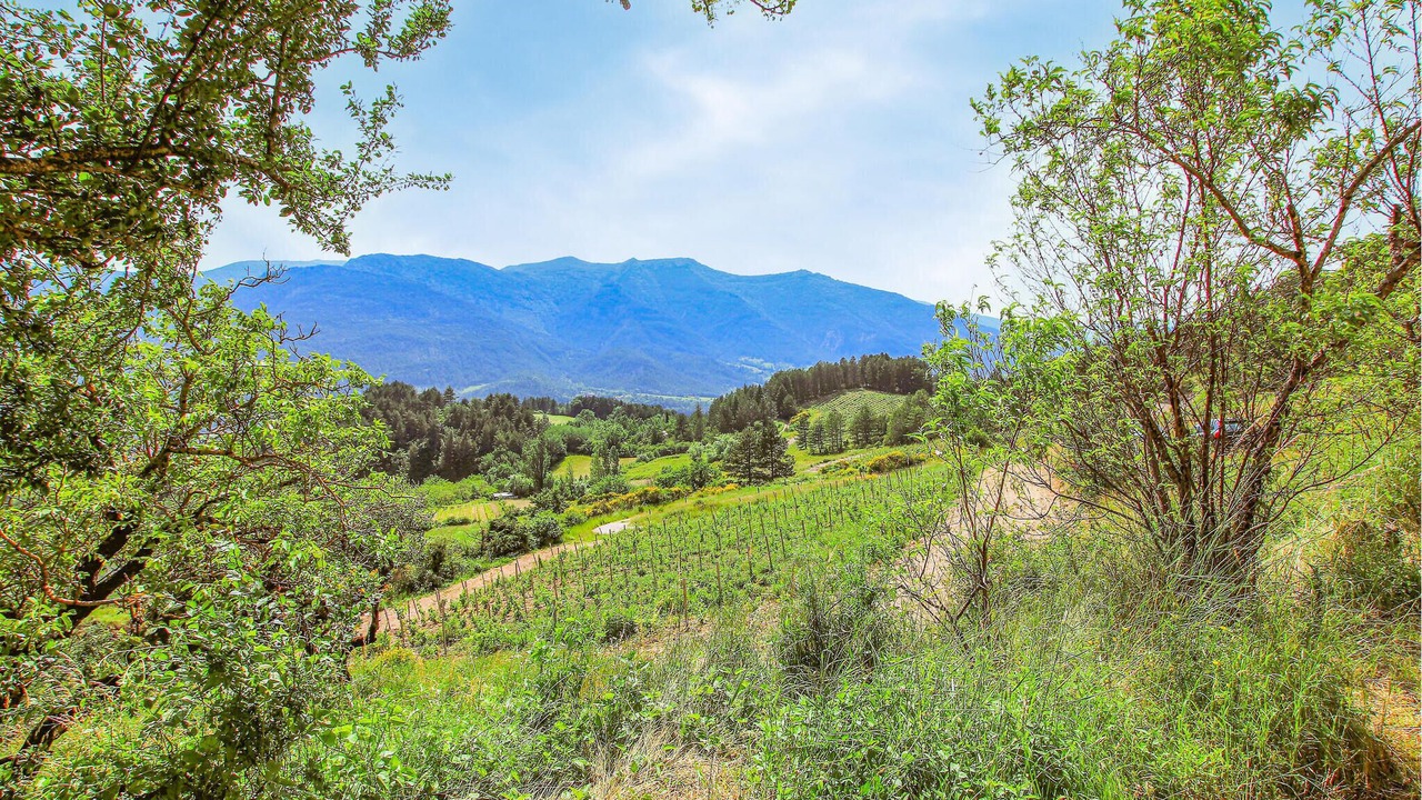 Photo of Bedroom in Die