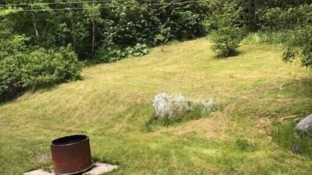 Photo of Outdoor in Lewisporte