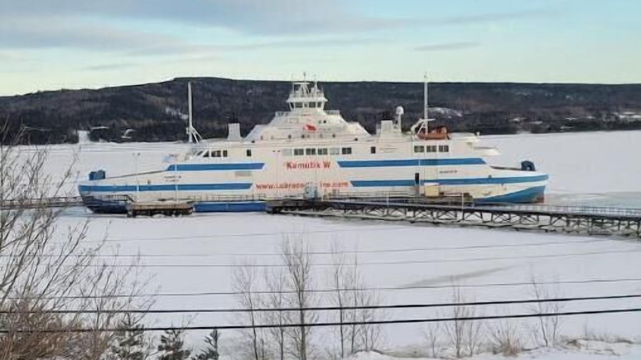 Photo of Others in Lewisporte