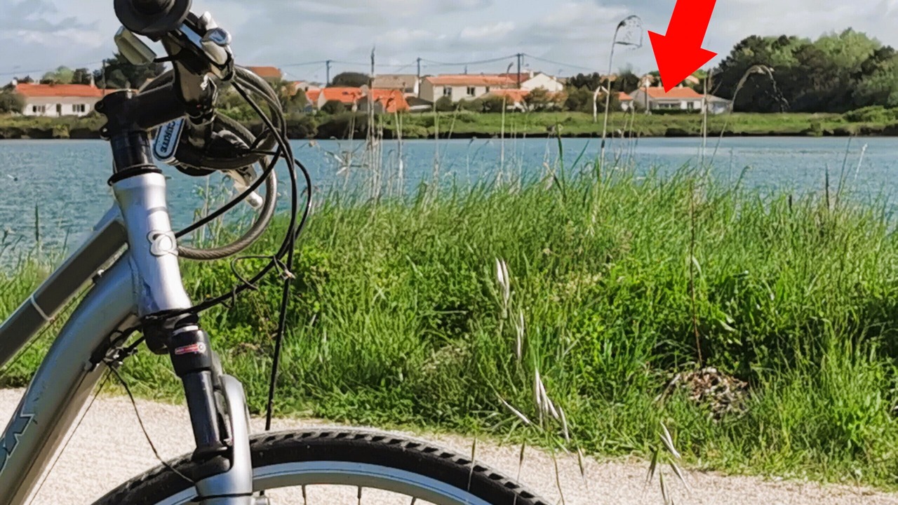 Photo of Others in Olonne-sur-Mer