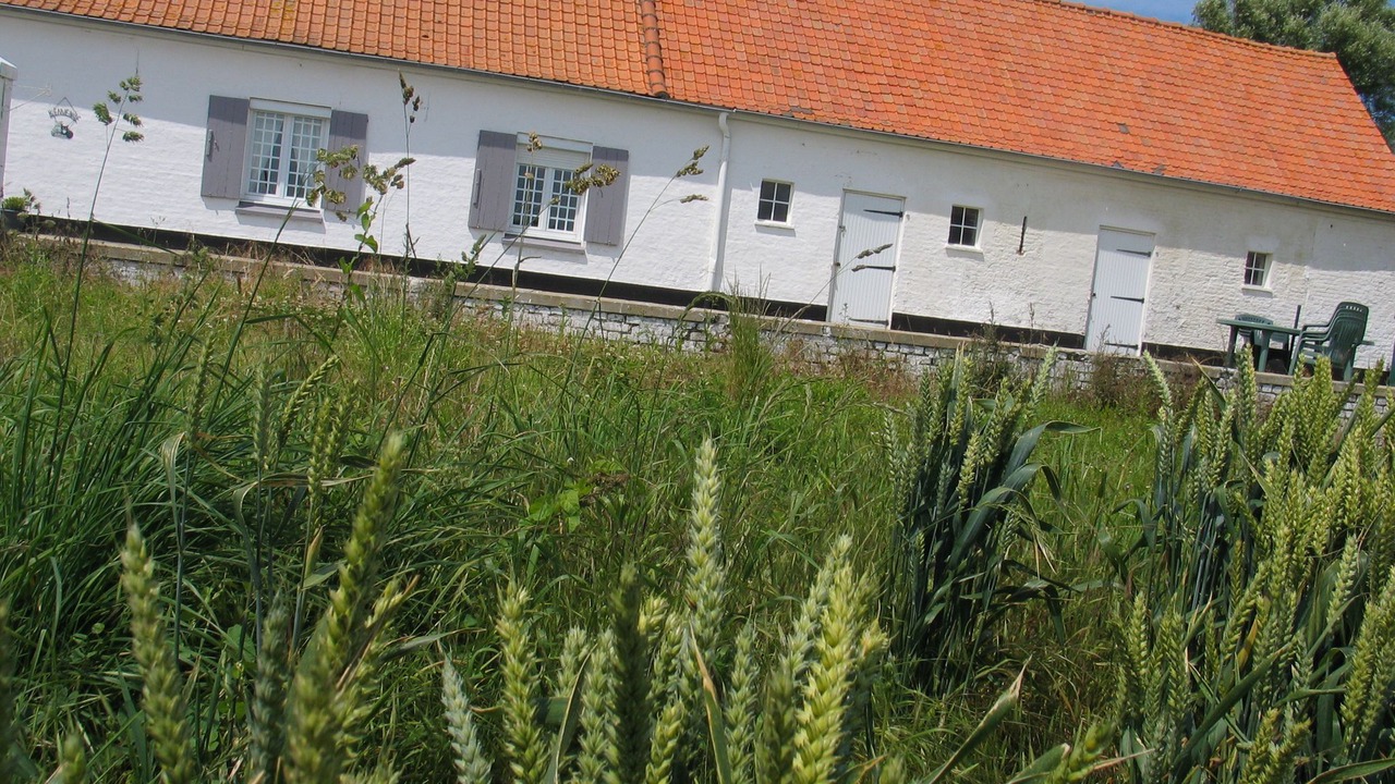 Photo of Outdoor in Hames-Boucres