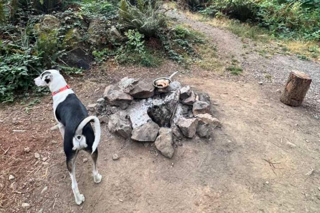 Photo of Others in Lime Kiln