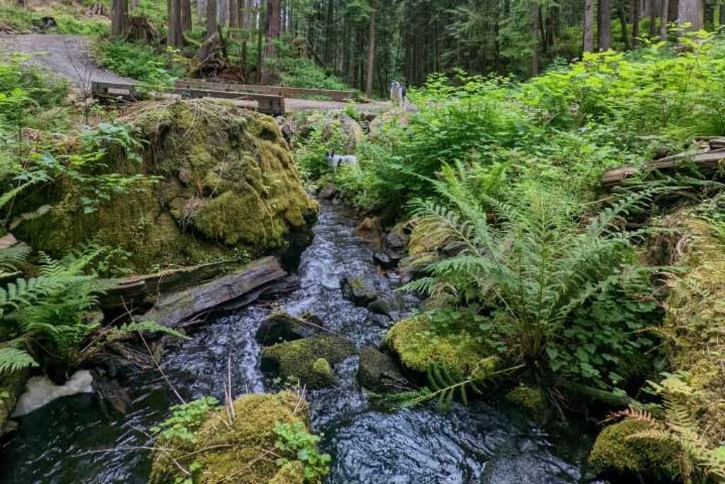 Photo of Outdoor in Lime Kiln