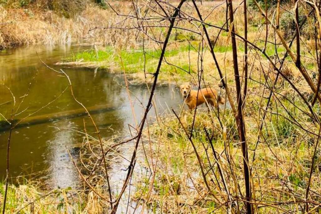 Photo of Others in Lime Kiln