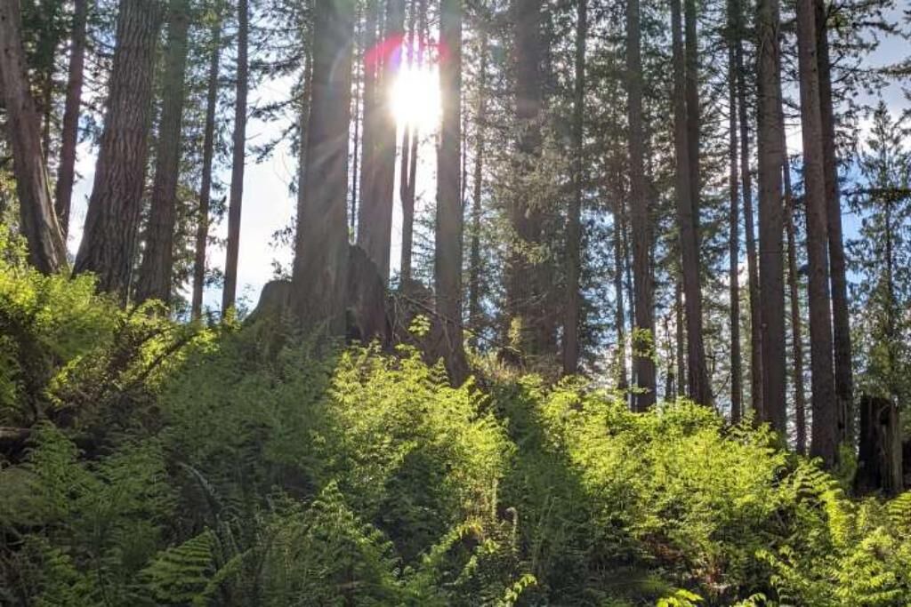 Photo of Others in Lime Kiln