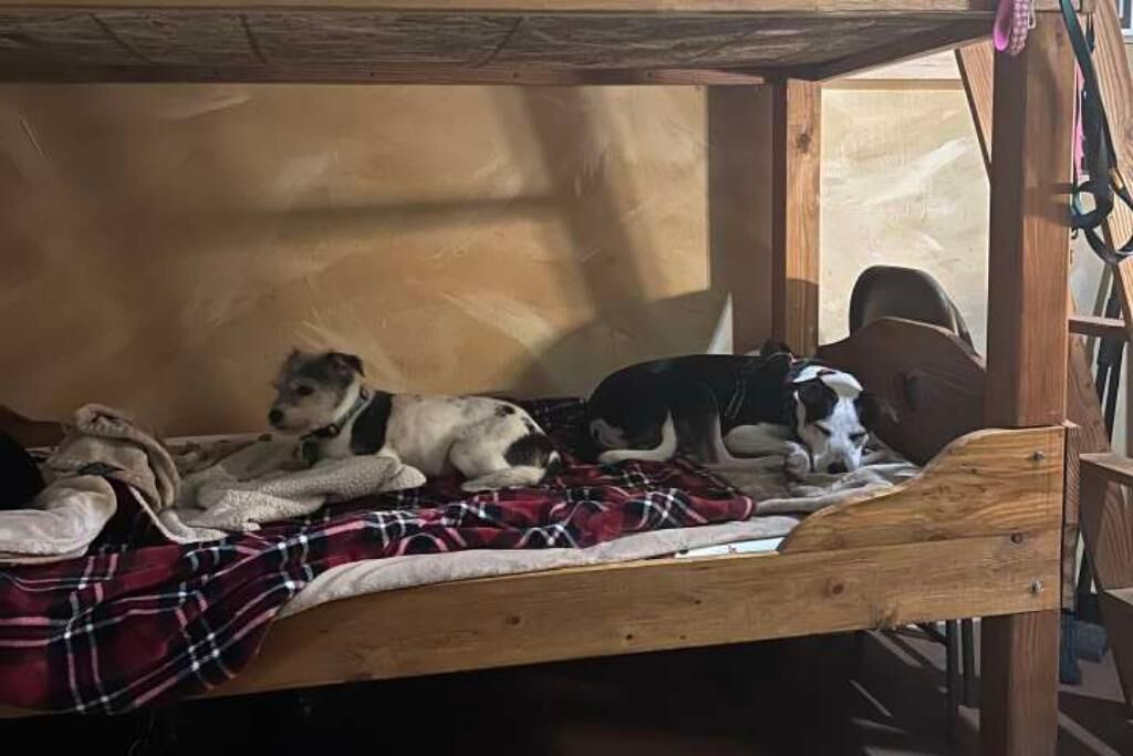 Photo of Bedroom in Lime Kiln