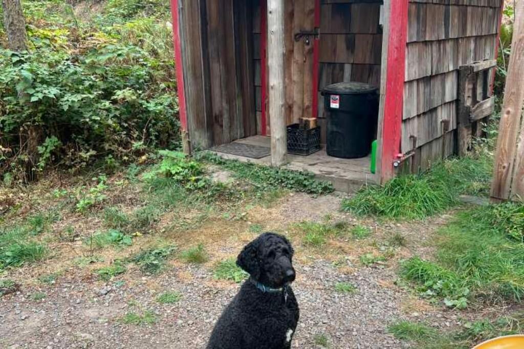 Photo of Outdoor in Lime Kiln