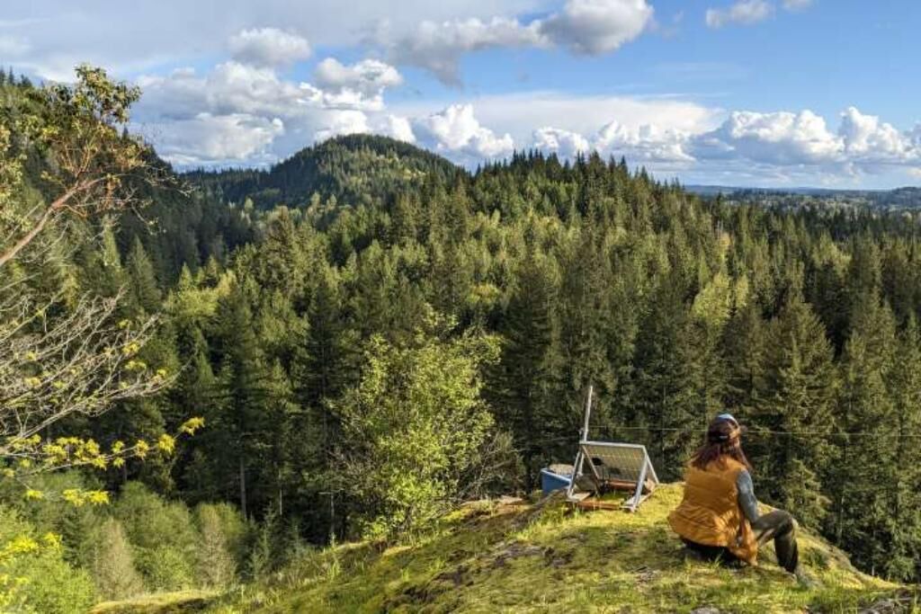 Photo of Outdoor in Lime Kiln