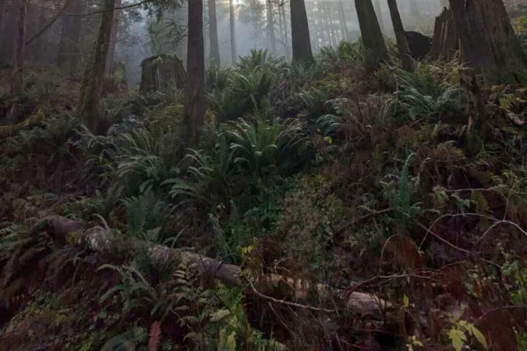 Photo of Outdoor in Lime Kiln