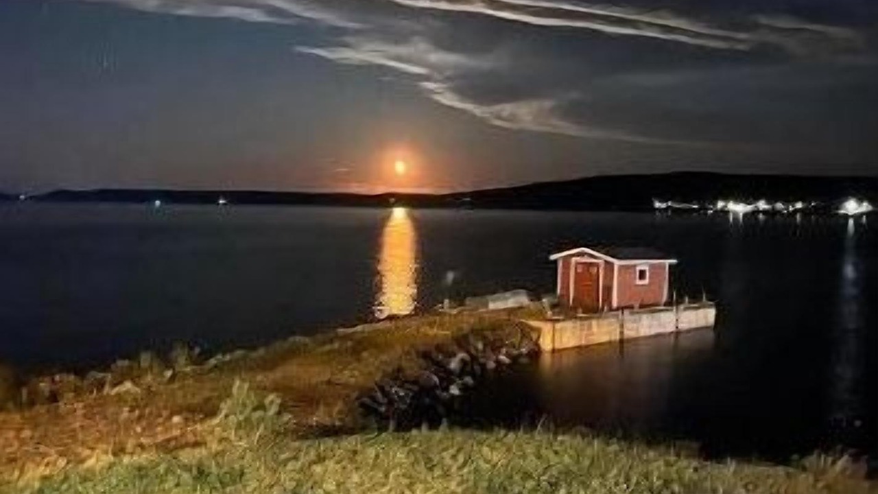 Photo of Outdoor in Lewisporte