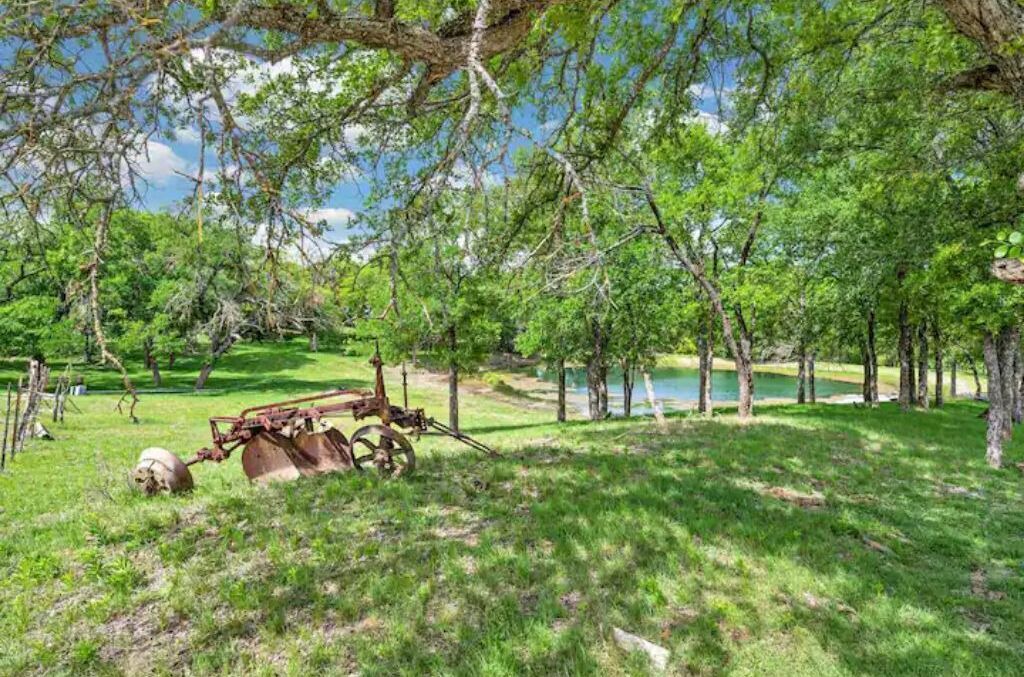 Photo of Outdoor in Moody