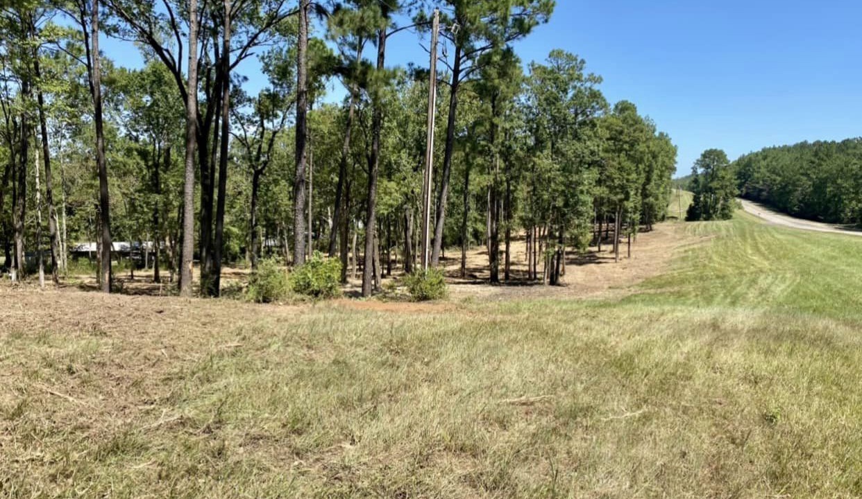 Photo of Outdoor in South Toledo Bend