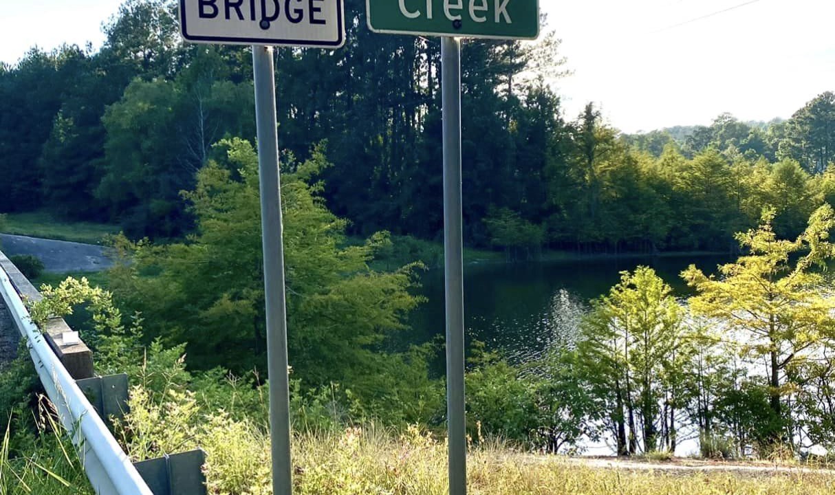 Photo of Others in South Toledo Bend