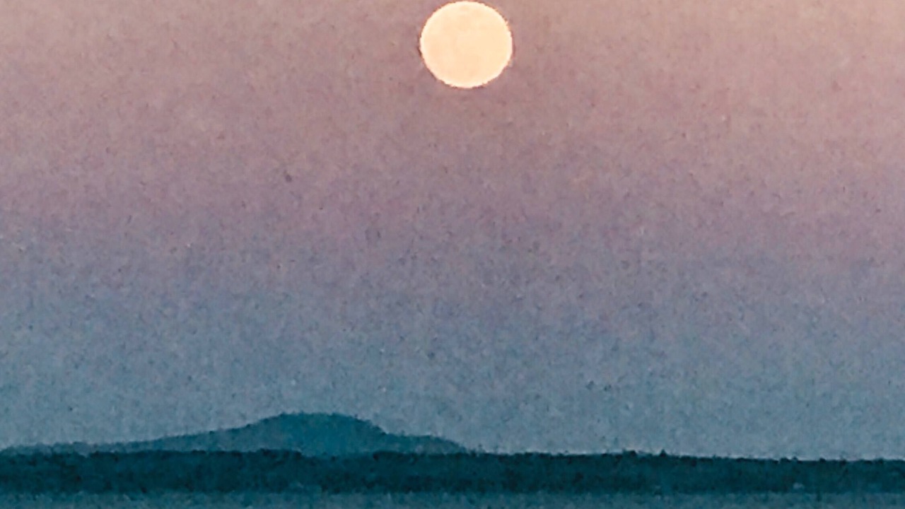 Photo of Others in Belfast