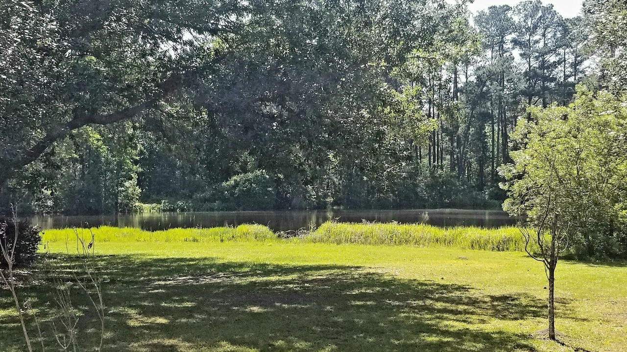 Photo of Others in Valdosta