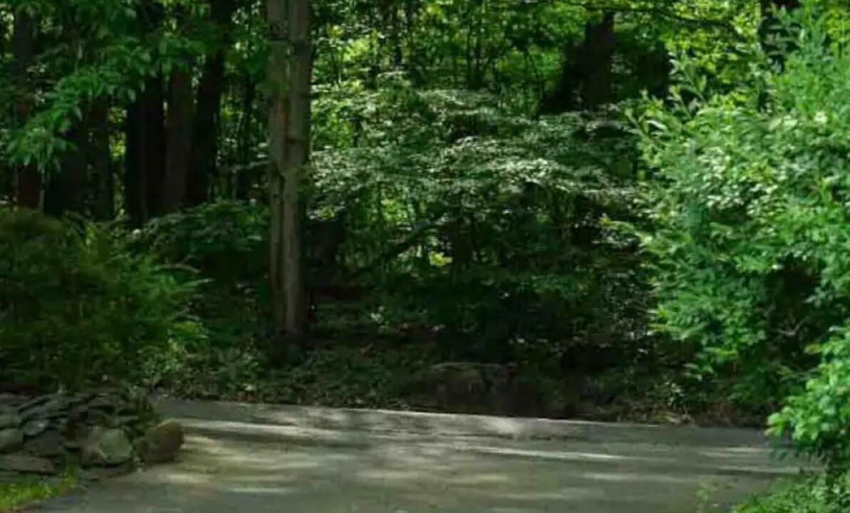 Photo of Outdoor in Stroudsburg