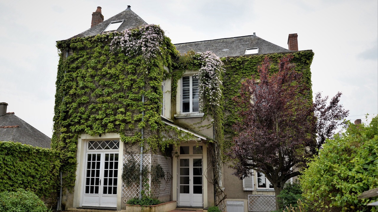 Photo of Outdoor in Chateau-Gontier