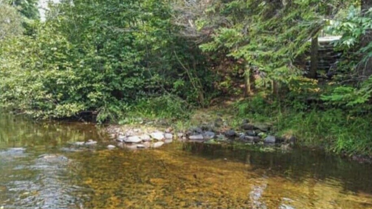 Photo of Outdoor in La Peche