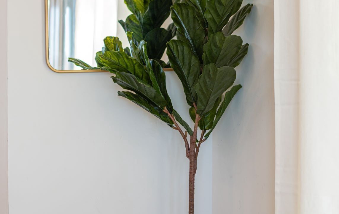 Photo of Others in White Lake