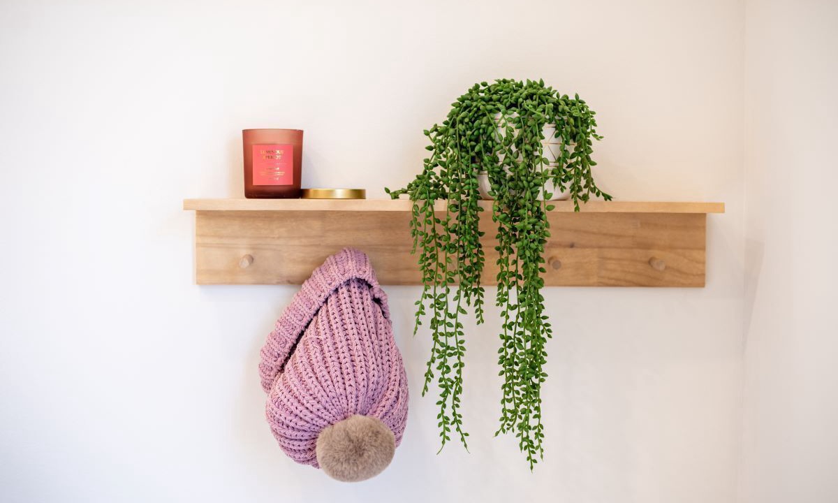 Photo of Others in White Lake