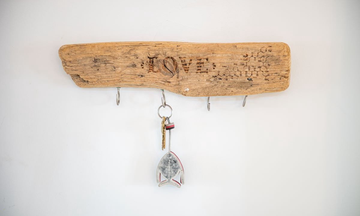 Photo of Others in White Lake