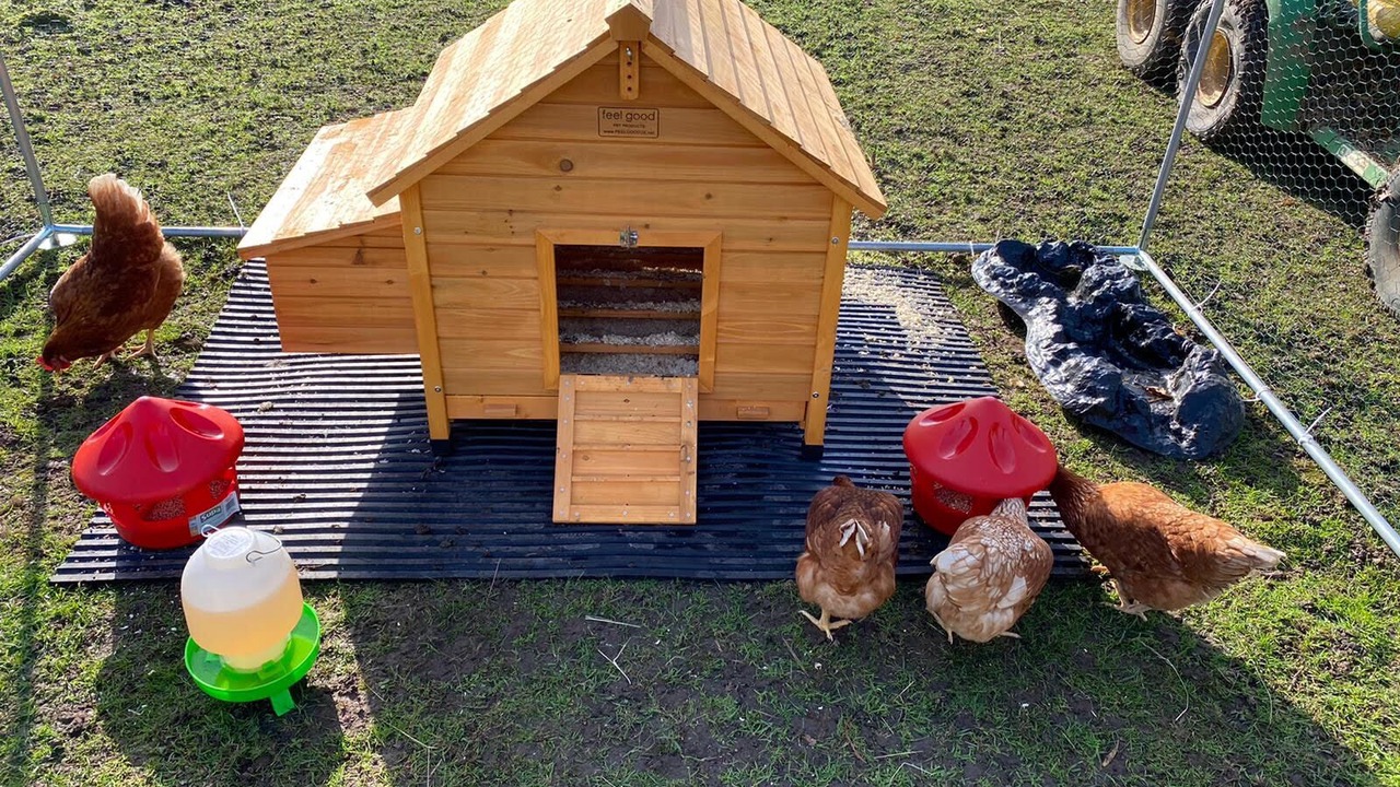 Photo of Outdoor in Braintree