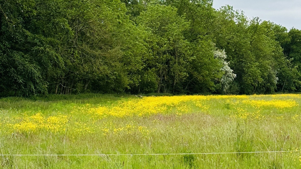 Photo of Others in Braintree