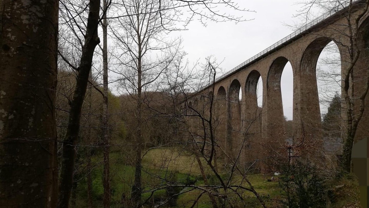 Photo of Others in Cosqueville