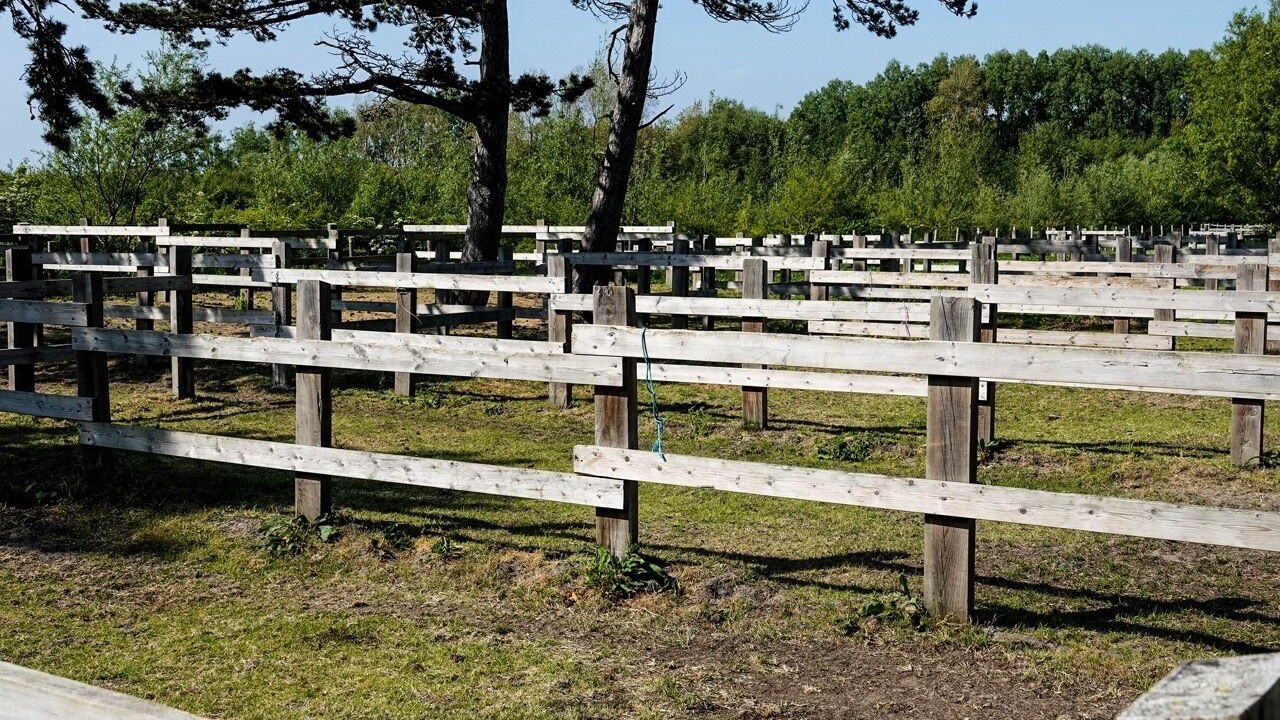 Photo of Others in Le Crotoy