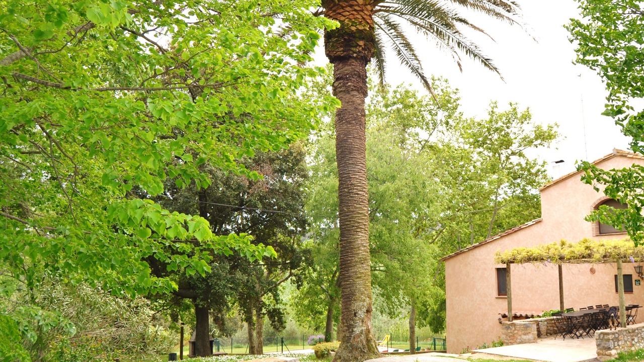 Photo of Outdoor in Vilademuls