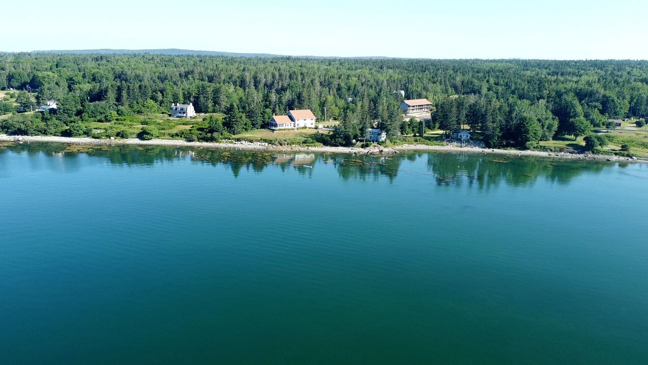 Photo of Others in Brooklin