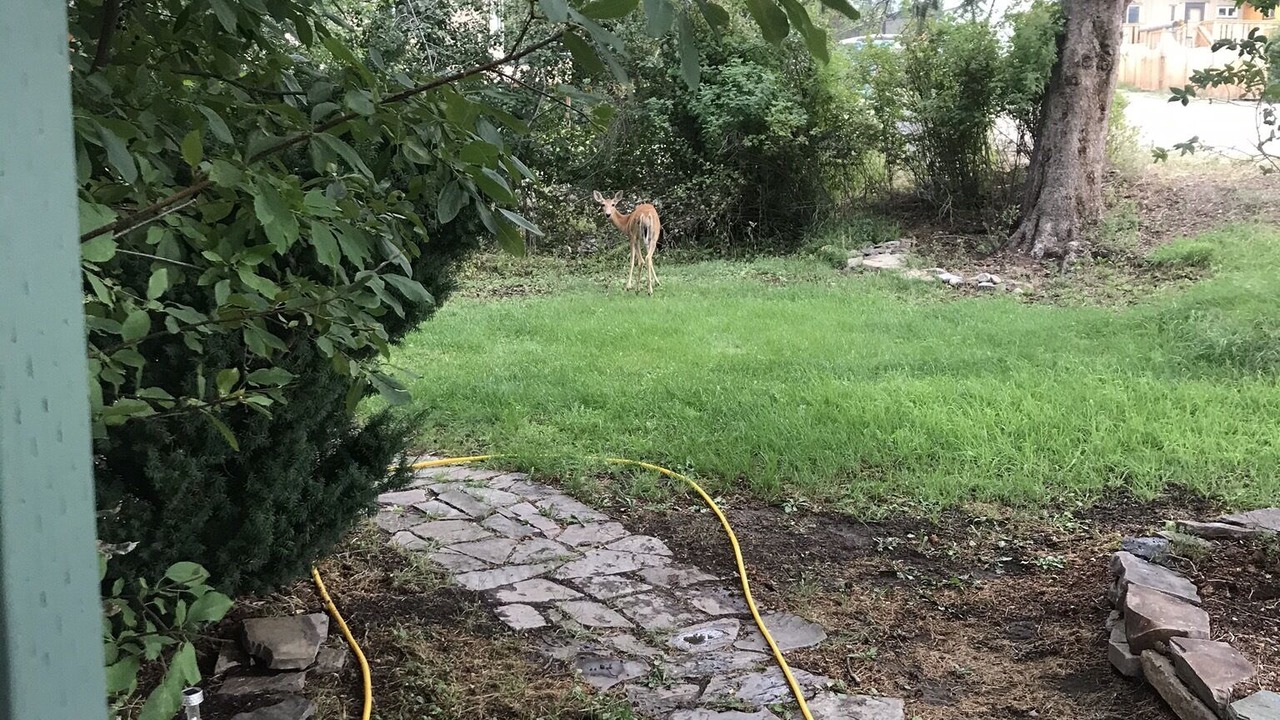 Photo of Outdoor in Hot Springs