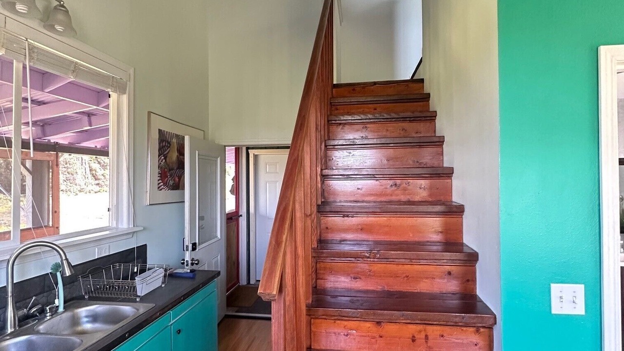 Photo of Others in Fern Acres