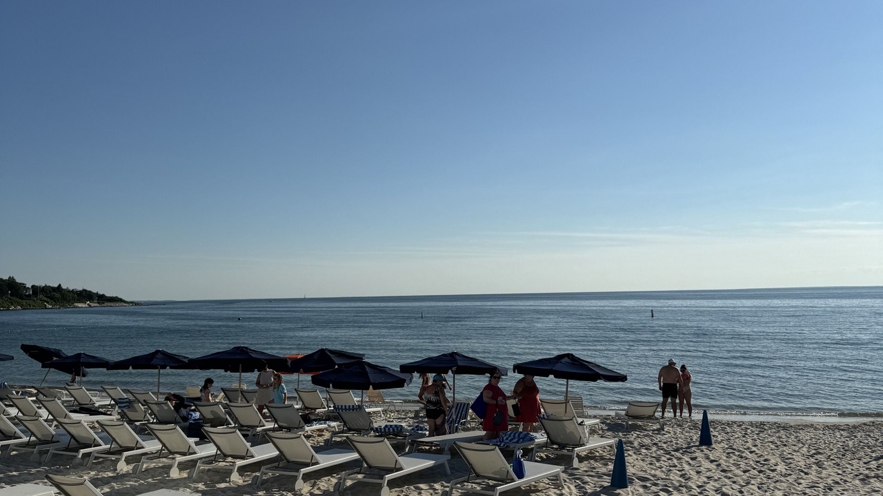 Photo of Others in Teaticket