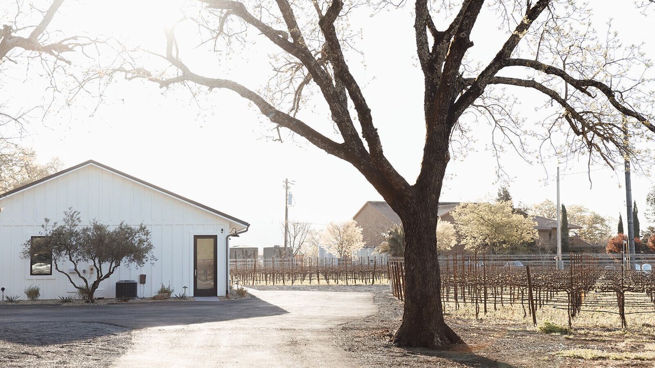 Photo of Others in Calistoga