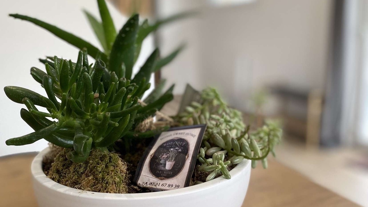 Photo of Others in Le Tourneur