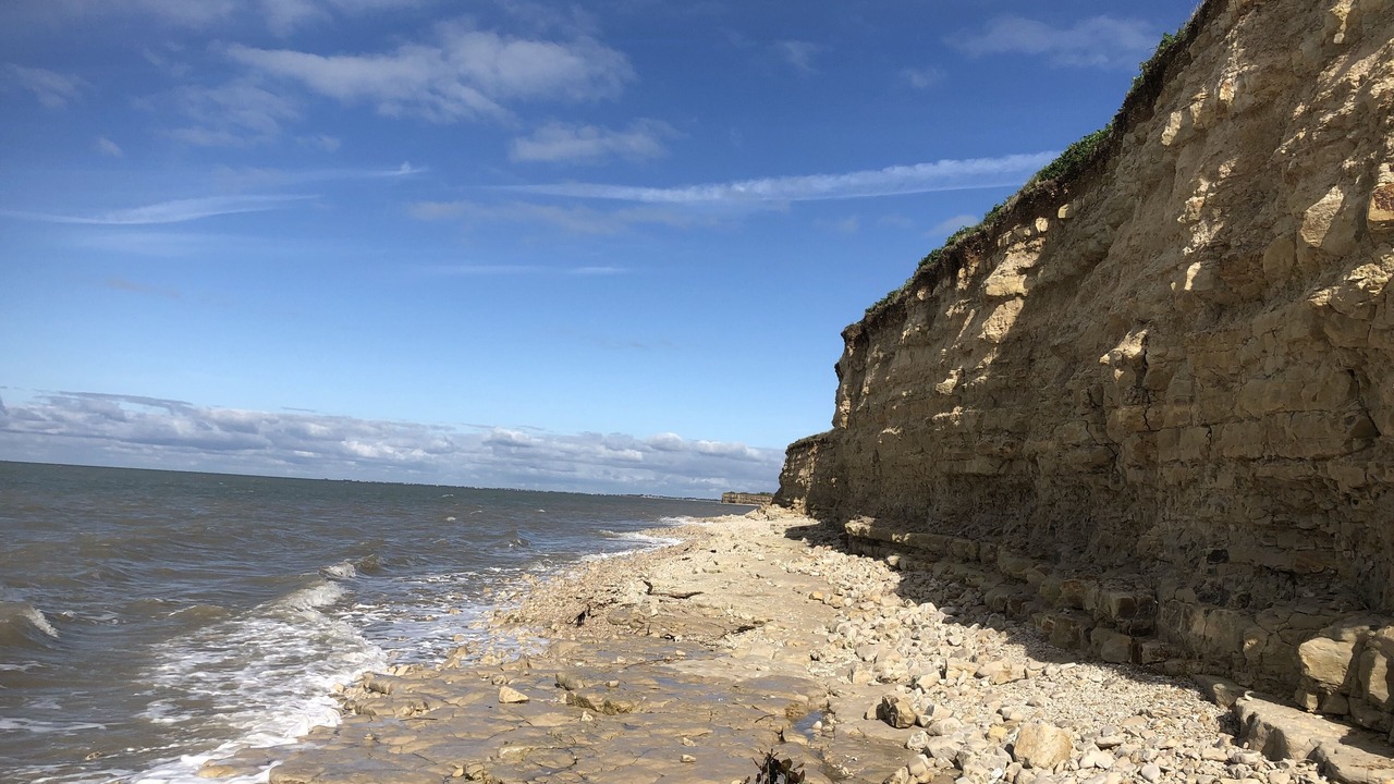 Photo of Others in Nieul-sur-Mer