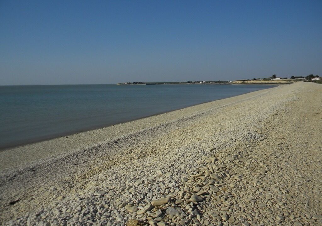 Photo of Others in Nieul-sur-Mer