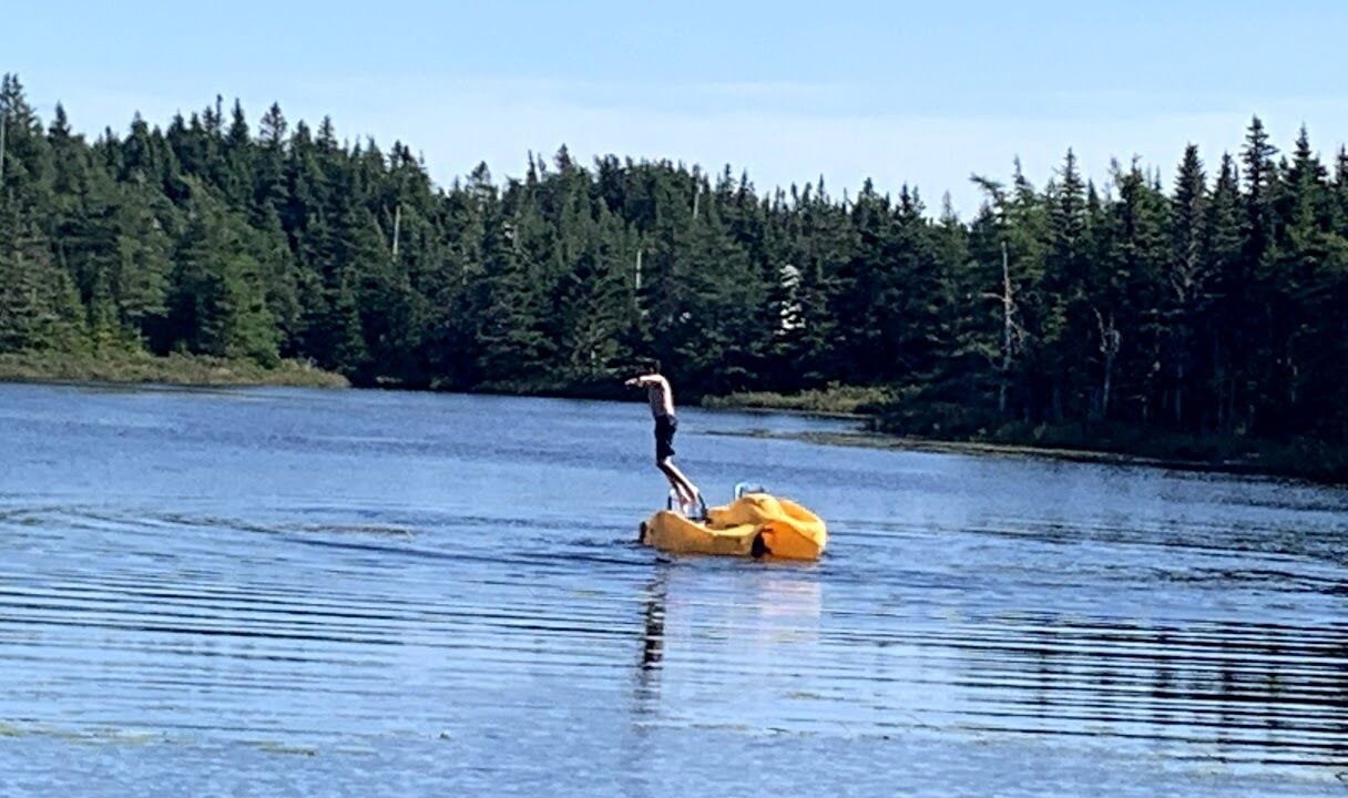 Photo of Others in Harbour Main