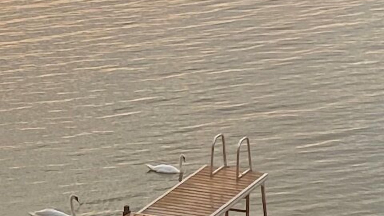 Photo of Outdoor in Picton