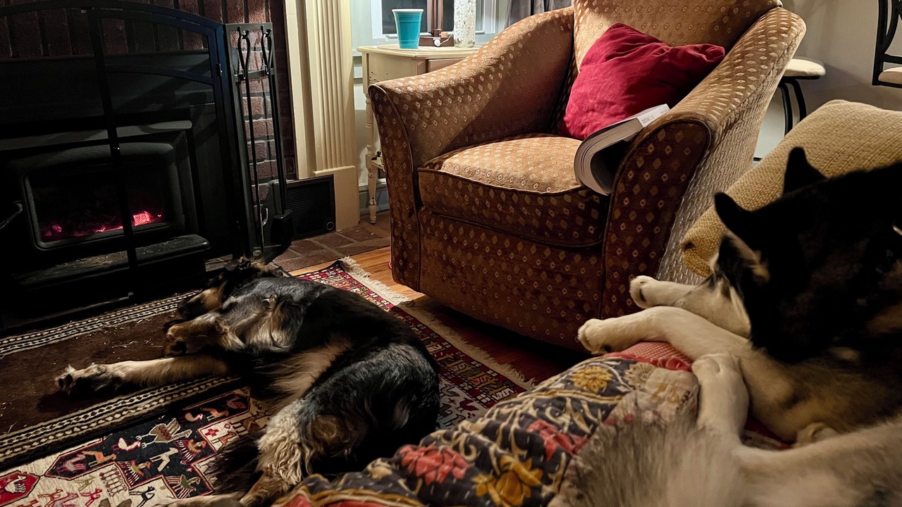 Photo of Livingroom in Glendale