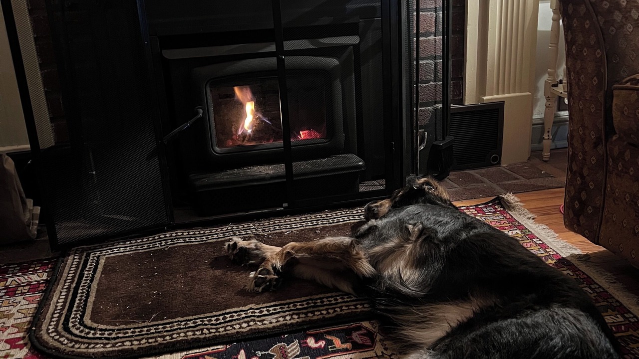 Photo of Others in Glendale