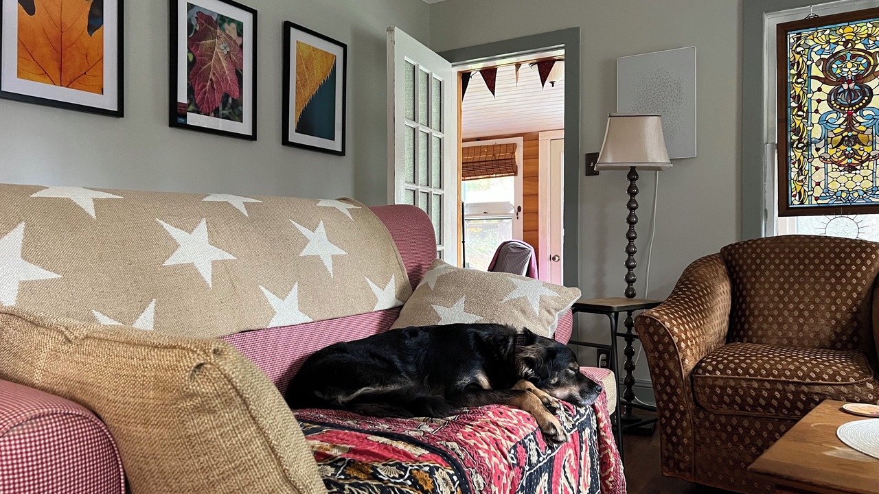 Photo of Livingroom in Glendale