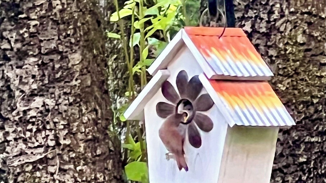 Photo of Outdoor in Glendale