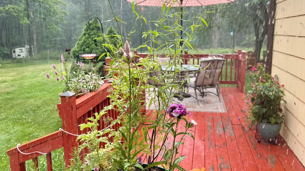 Photo of Patio Balcony in Glendale