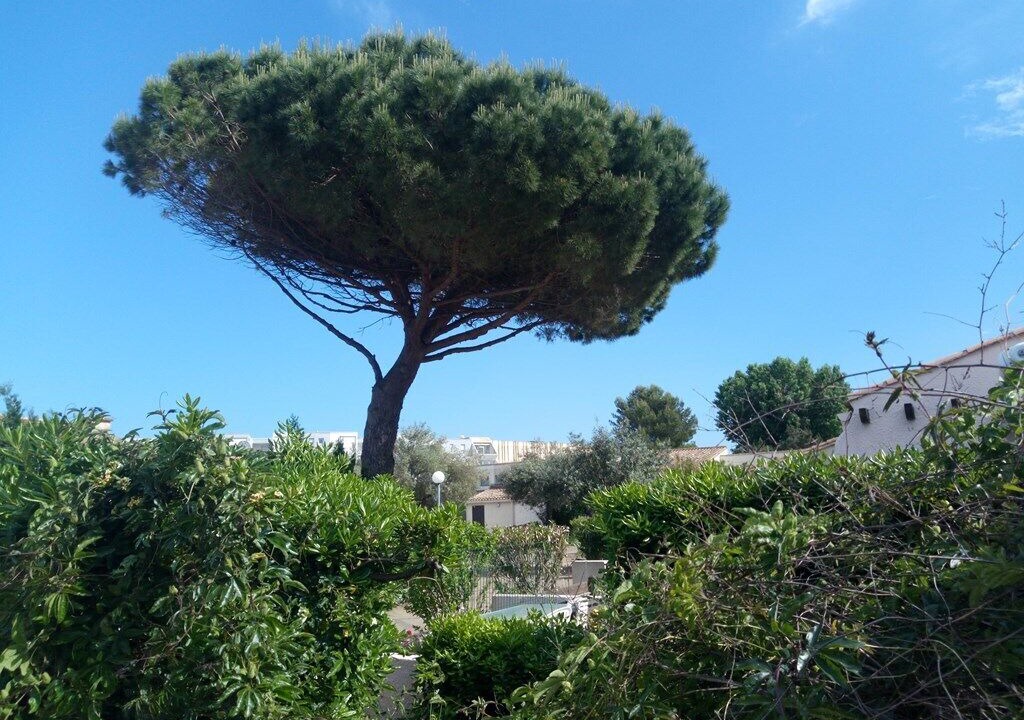Photo of Outdoor in Naturist Village