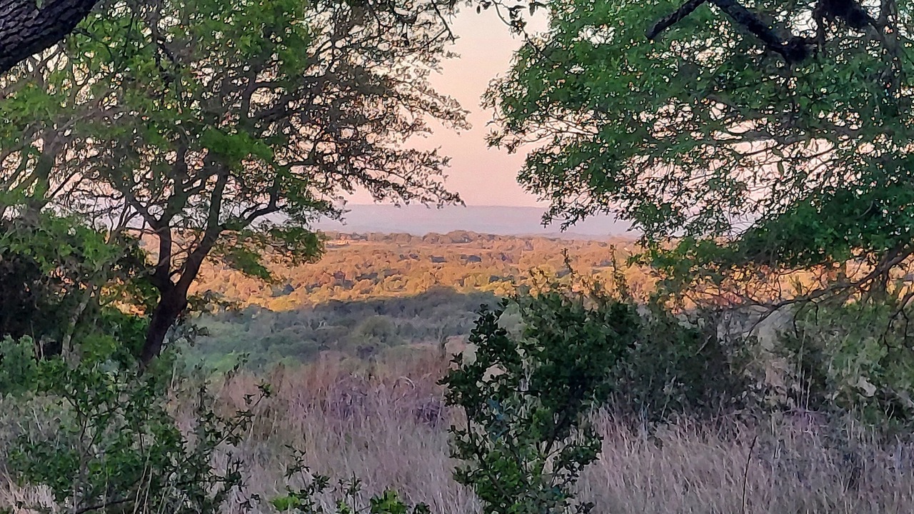 Photo of Others in Boerne