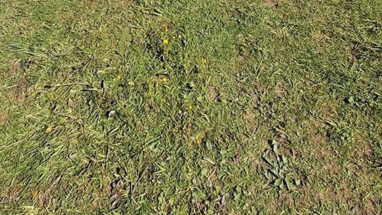 Photo of Others in Wrexham