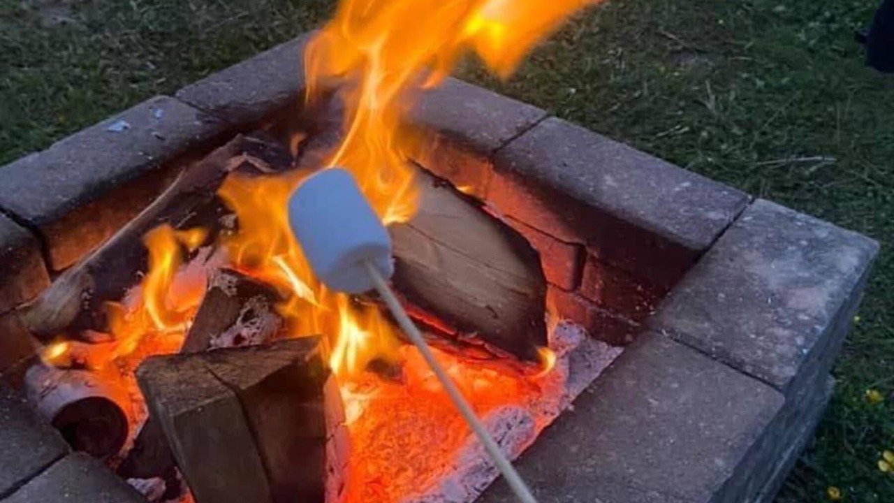 Photo of Others in Wrexham